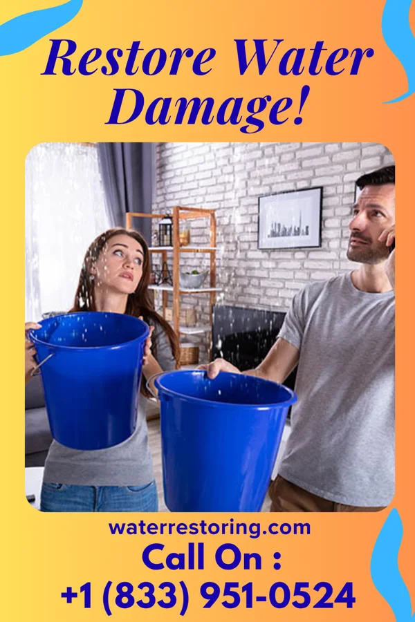 water restoration Ace Disaster Cleanup Company Batavia